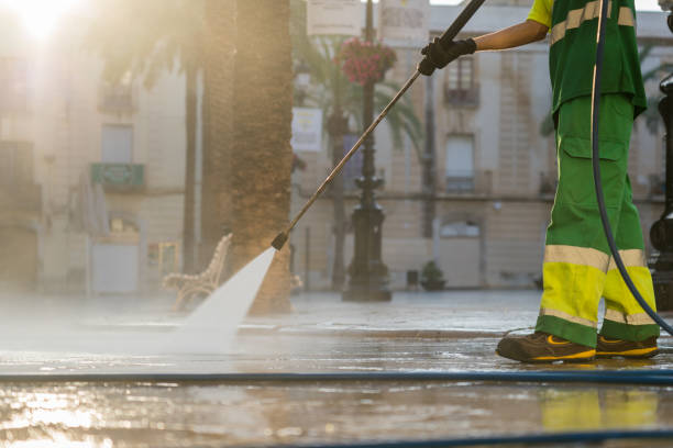 Best Solar Panel Cleaning  in Leesburg, FL